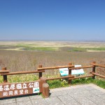 釧路湿原・春